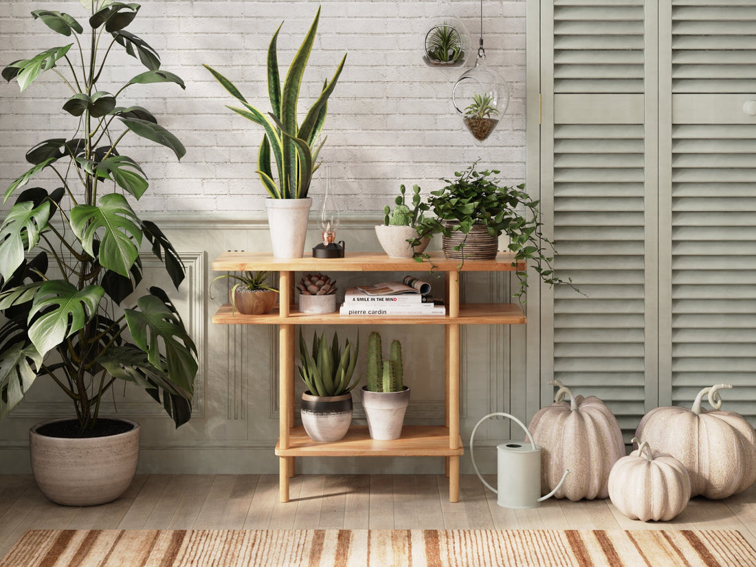 The Unique Role of Plants in Home Decor