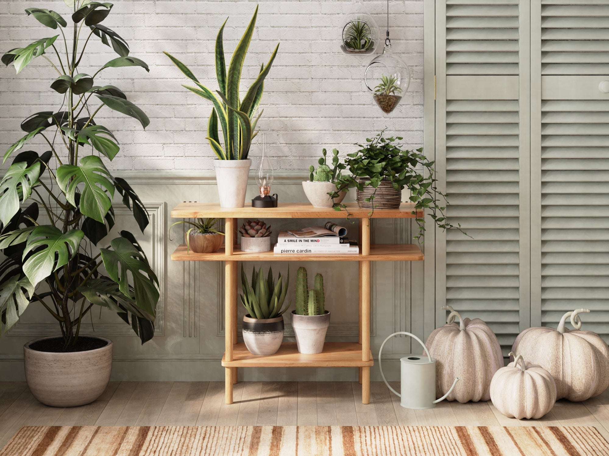 The Unique Role of Plants in Home Decor