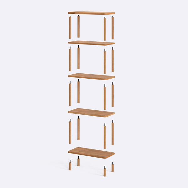 5 Bookcase – 24" x 11" (60 x 28 cm)