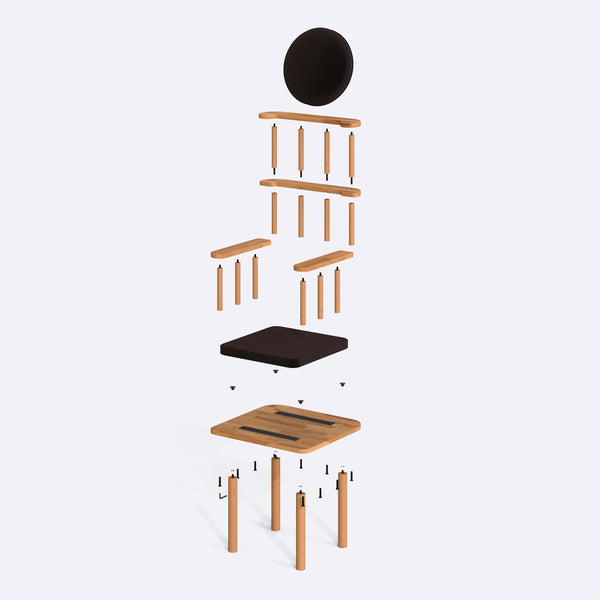 Throne Chair
